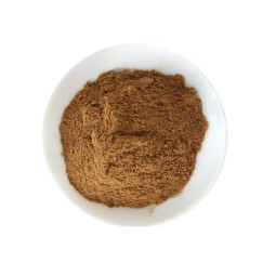 Olive Leaf Extract Factory - Oleuropein Probiotics