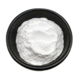 Lactobacillus Fermentum Factory - 100 Billion CFU Freeze Dried