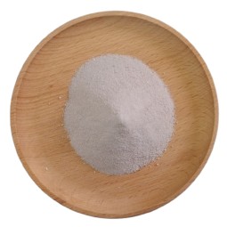 Paecilomyces Lilacinus Factory - Organic Biopesticide