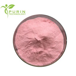 Lactoferrin Powder Manufacturer - 95% Nutritional Supplement