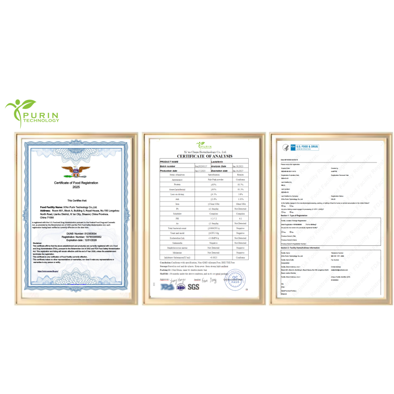 Bacillus Subtilis Powder Manufacturer - 10-200 Billion CFU