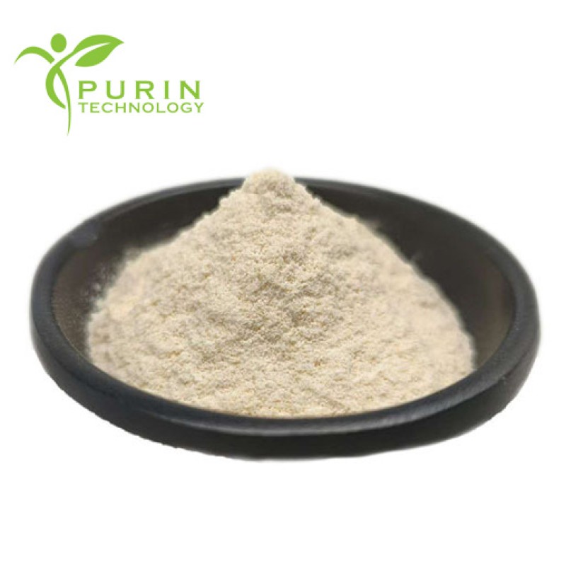 Hirudin Powder Factory - 1200ATU Leech Extract