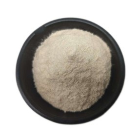 Lactobacillus Crispatus Manufacturer - 100 Billion Food Grade