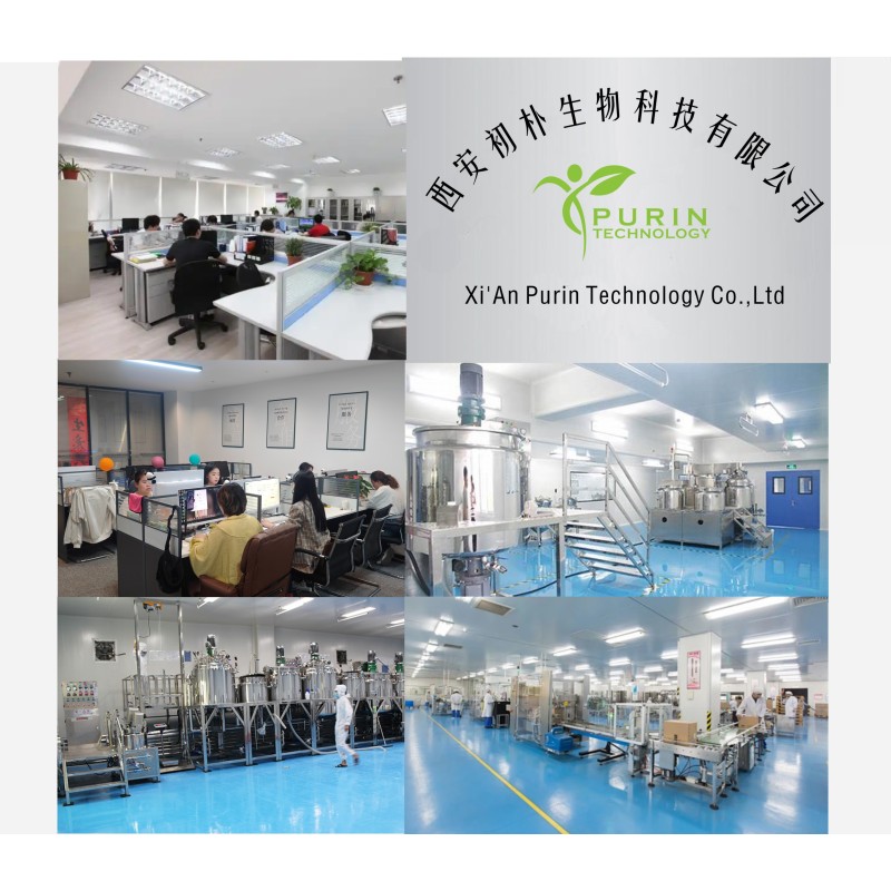 Bearberry Extract Supplier - Alpha Arbutin Whitening