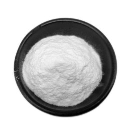 Lactobacillus Casei Manufacturer - 100 Billion Freeze Dried