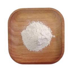 Andrographis CO2 Extract Manufacturer - 98% HPLC Powder