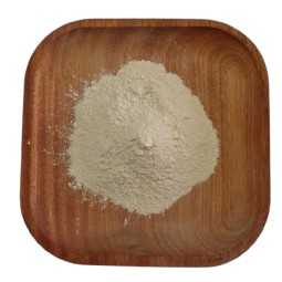 Bacillus Lateralis Powder Factory - Feed Grade Probiotic