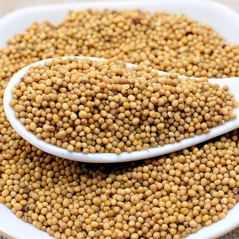 Brown Mustard Seeds Manufacturer - Best Quality