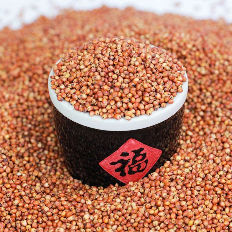 Red Sorghum Supplier - Parrot Food Bird Seed