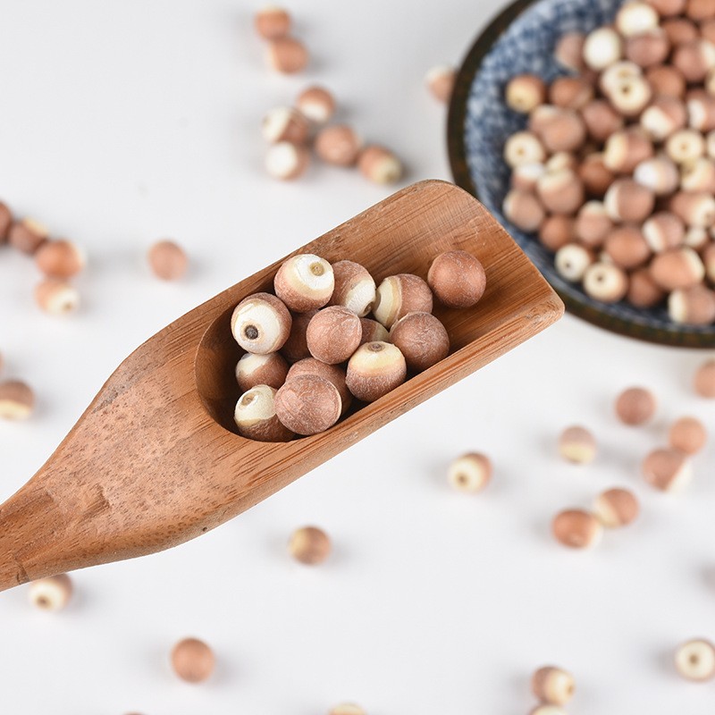 Euryale Fruit Supplier - Gorgon Seed Natural