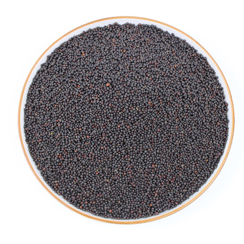 Black Mustard Seeds Factory - Organic Charm Oil