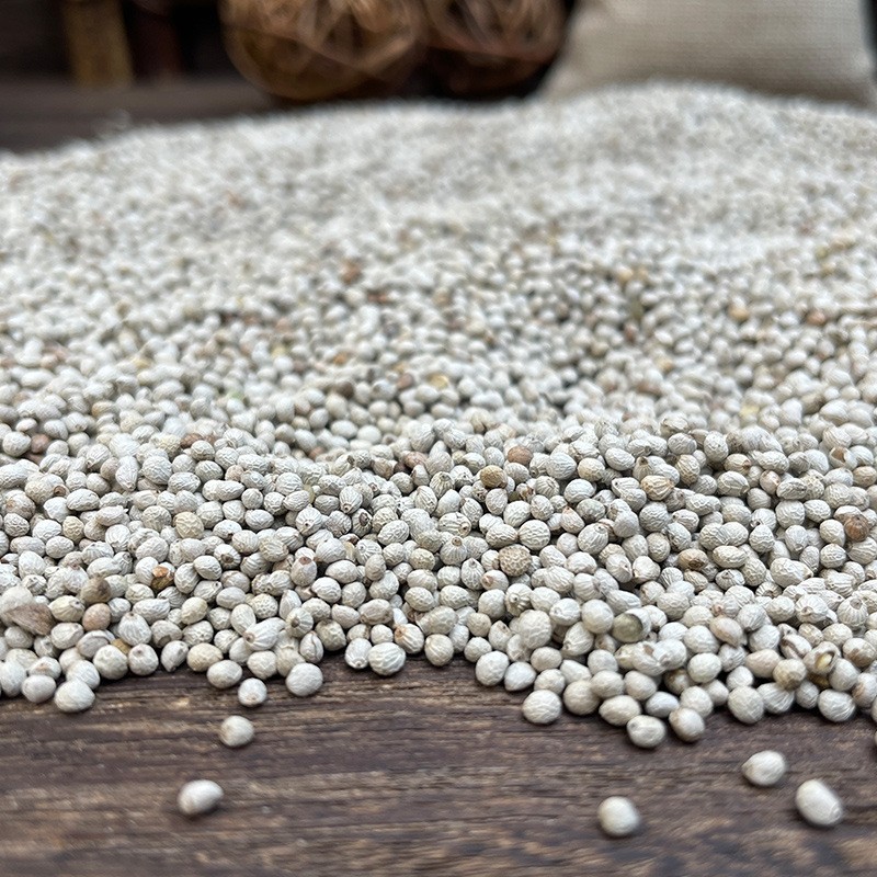 Poultry Feed Supplier - Bird Fodder Agriculture