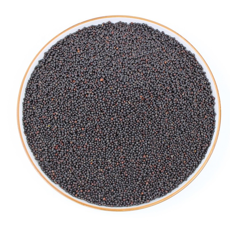 Mustard Seeds Supplier - Healthy Cooking