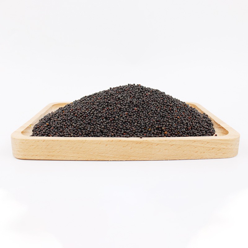Black Mustard Seeds Factory - Organic Charm Oil