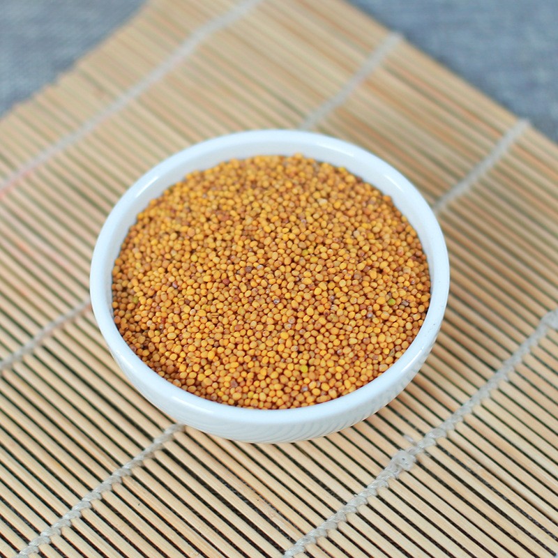 Brown Mustard Seeds Manufacturer - Best Quality