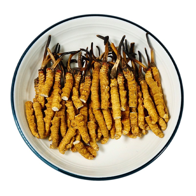 Cordyceps Herb Supplier - Chinese Raw Material