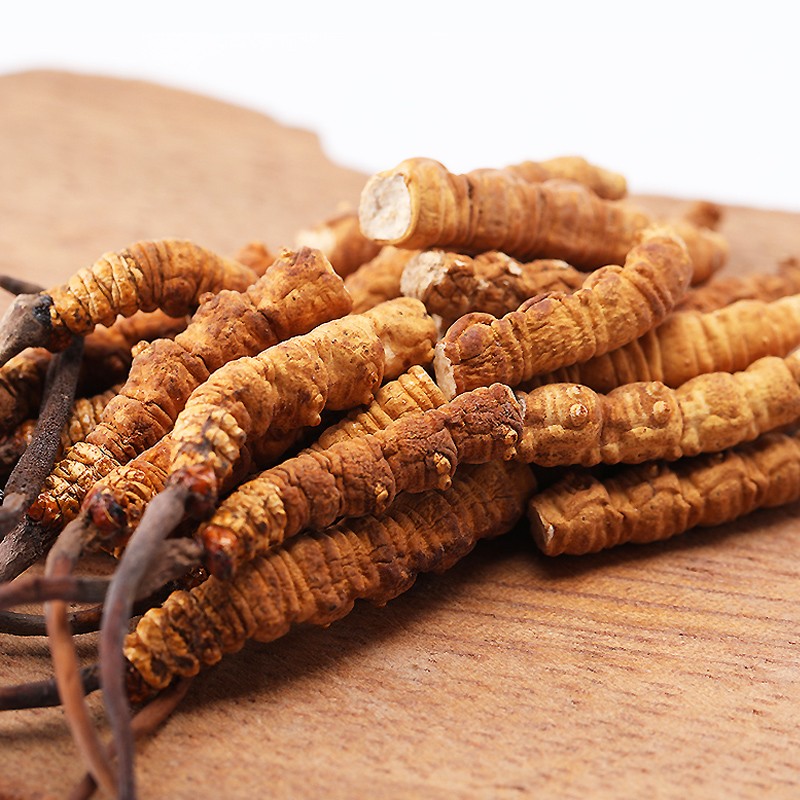 Cordyceps Herb Supplier - Chinese Raw Material