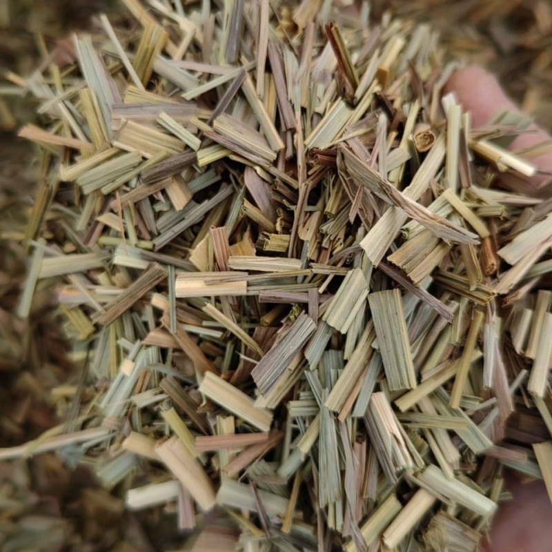 Lemongrass Leaves Manufacturer - Dried Condiment Tea