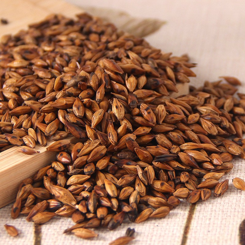 Barley Tea Factory - Stir Fried Malt Aroma