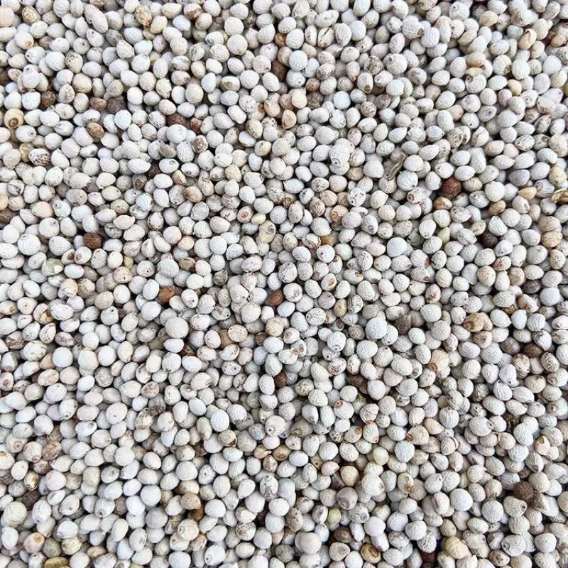 Poultry Feed Supplier - Bird Fodder Agriculture