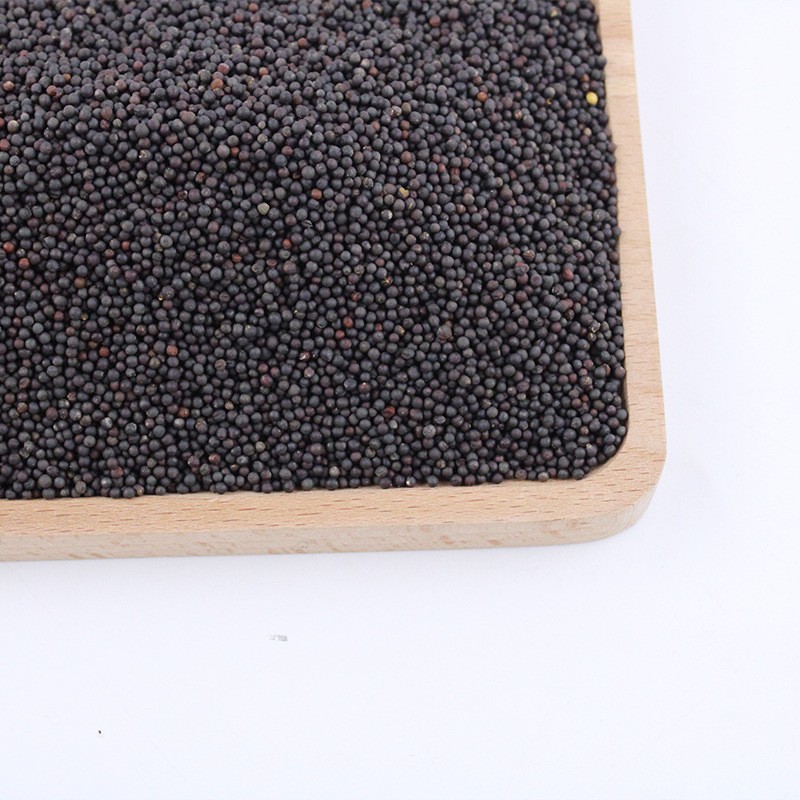 Mustard Seeds Supplier - Healthy Cooking