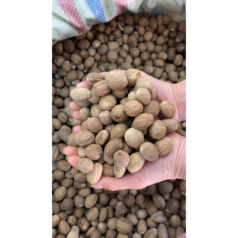 Nutmeg Factory - Round Dried Spice