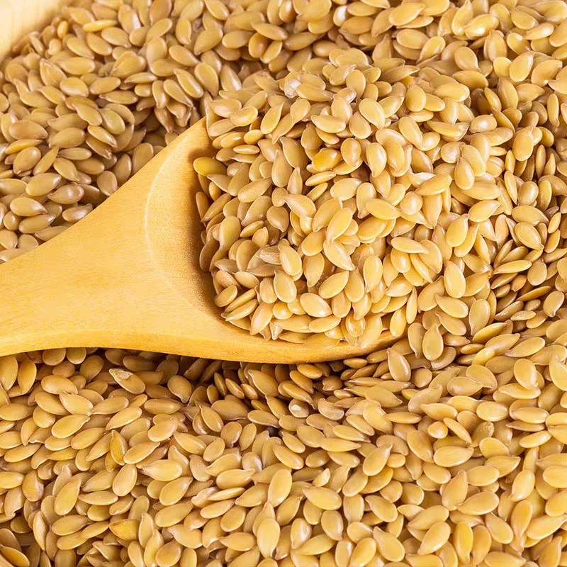 Linseed Manufacturer - High Protein Wholesale