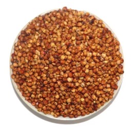 Red Sorghum Supplier - Parrot Food Bird Seed