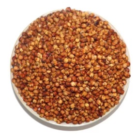 Red Sorghum Supplier - Parrot Food Bird Seed