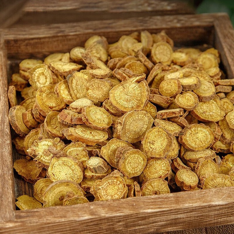 Skullcap Root Manufacturer - Radix Scutellariae Tea