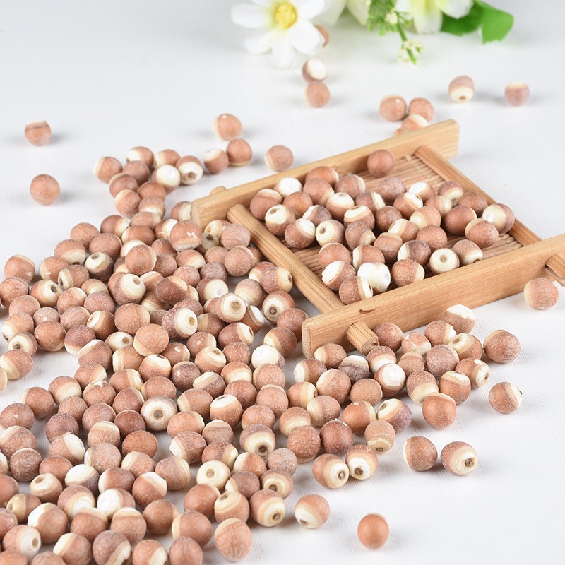 Euryale Fruit Supplier - Gorgon Seed Natural