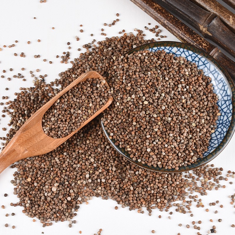 Perilla Seeds Supplier - Bird Fodder Wholesale