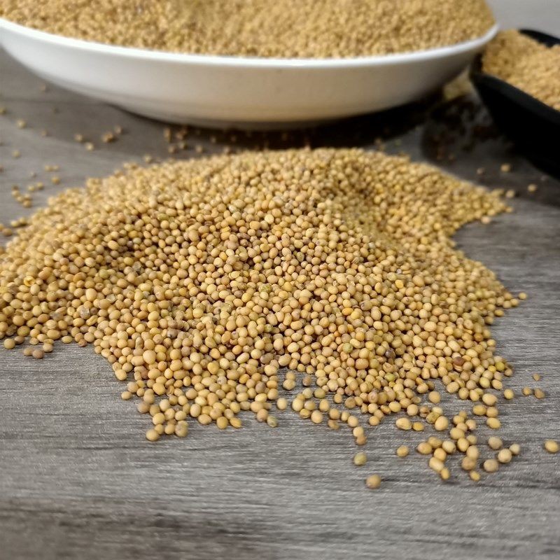 Yellow Mustard Seeds Supplier - Top Grade Dried