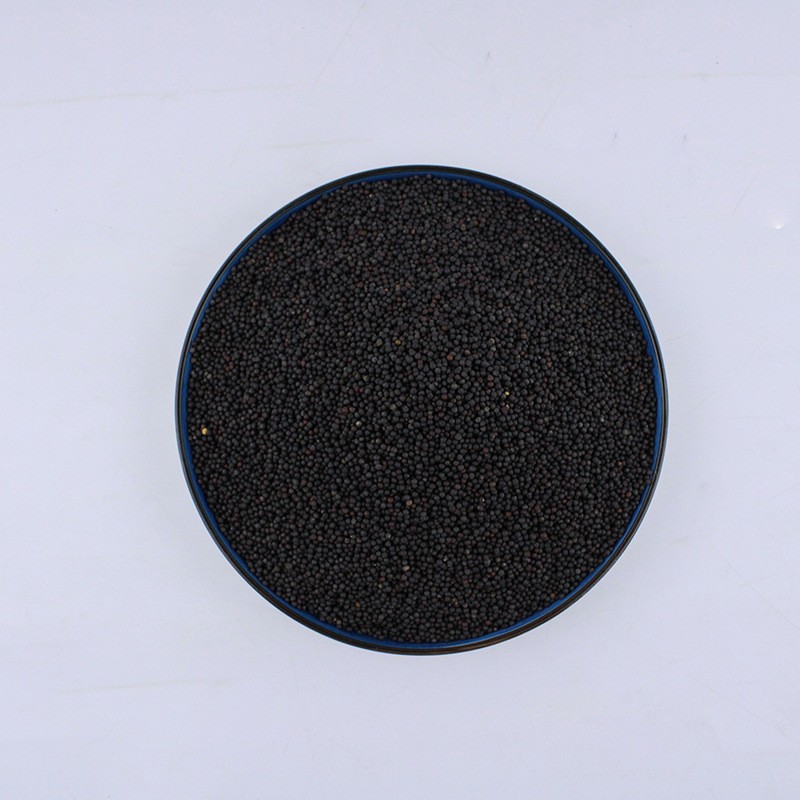 Black Mustard Seeds Manufacturer - Kitchen Spice
