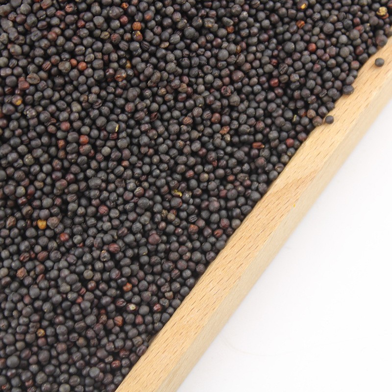 Mustard Seeds Supplier - Healthy Cooking
