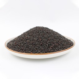 Black Mustard Seeds Factory - Organic Charm Oil
