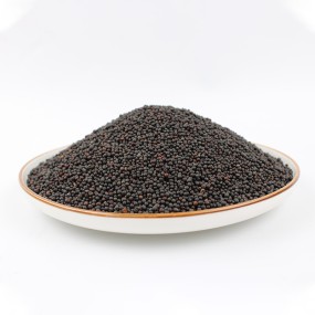Black Mustard Seeds Factory - Organic Charm Oil