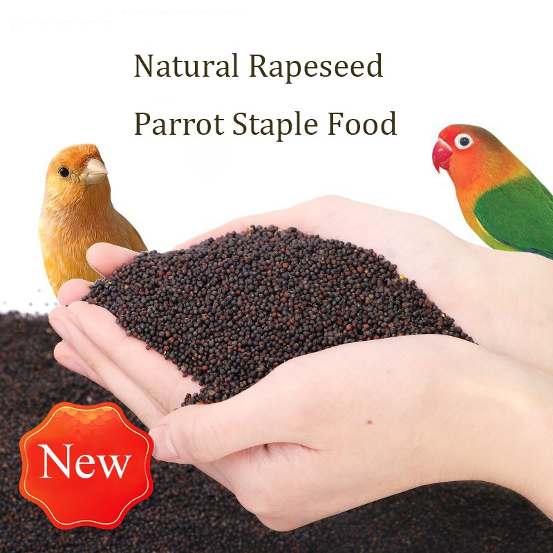 Pigeon Food Factory - Canola Seed Poultry Feed