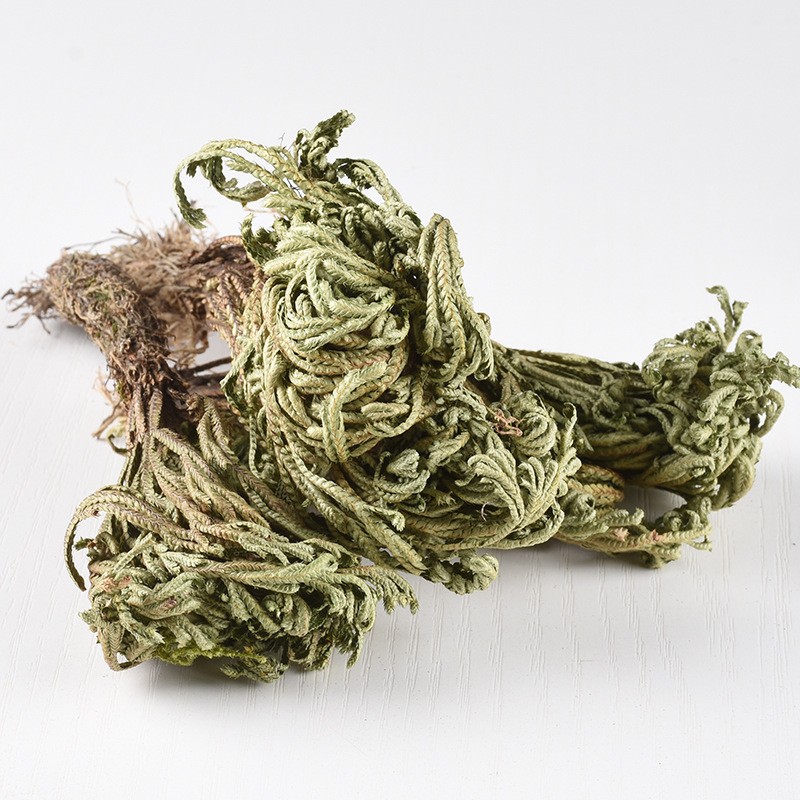 Jericho Flower Supplier - Selaginella Herb Dried
