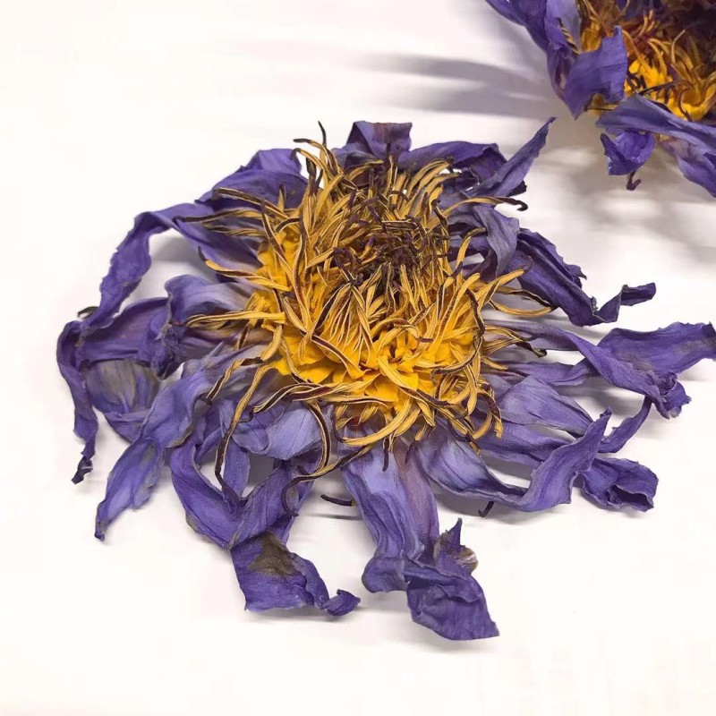 Blue Lotus Flower Supplier - Dried Bulk Herbal Tea
