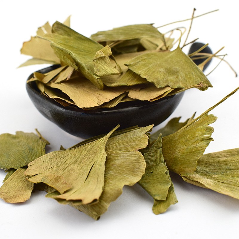 Ginkgo Leaf Tea Supplier - Biloba Loose Leaf