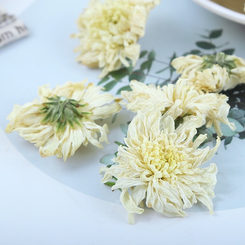 Chrysanthemum Tea Manufacturer - Tribute Grade