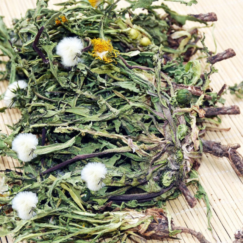 Dandelion Leaf Tea Manufacturer - Mongolian Herb