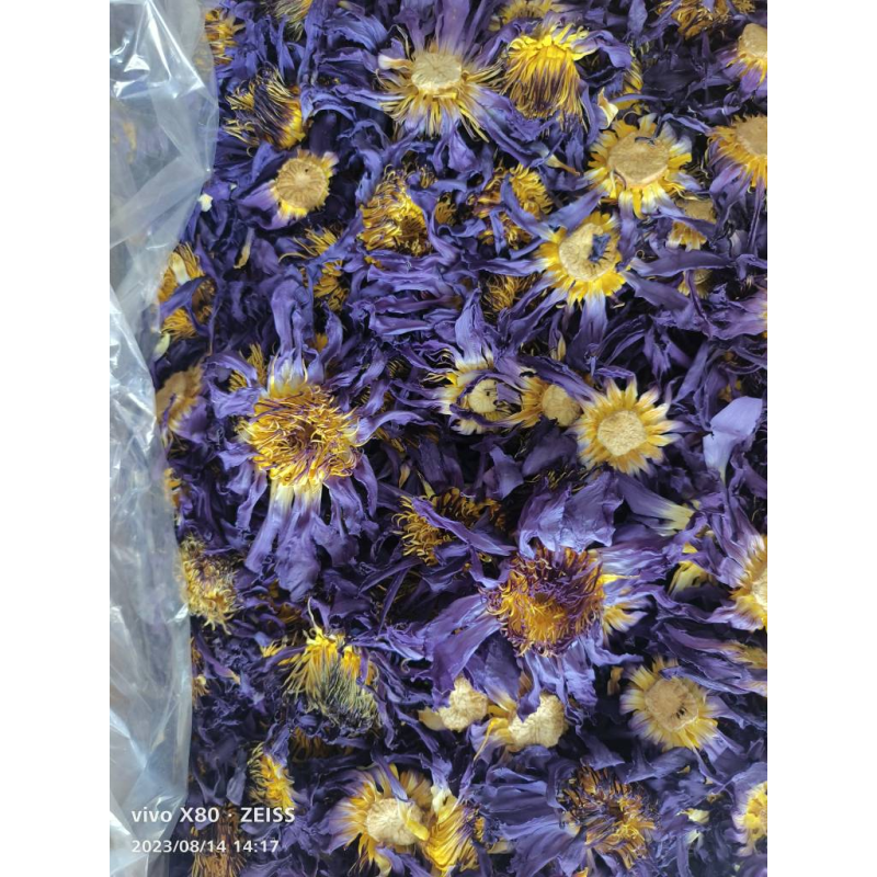 Blue Lotus Flowers Factory - EU Standard Raw