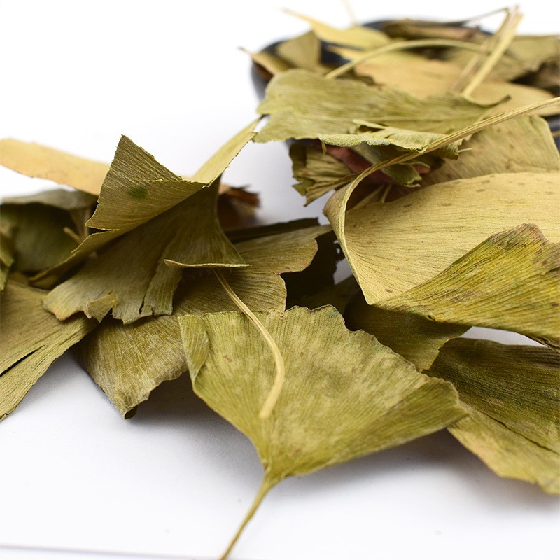 Ginkgo Leaf Tea Supplier - Biloba Loose Leaf
