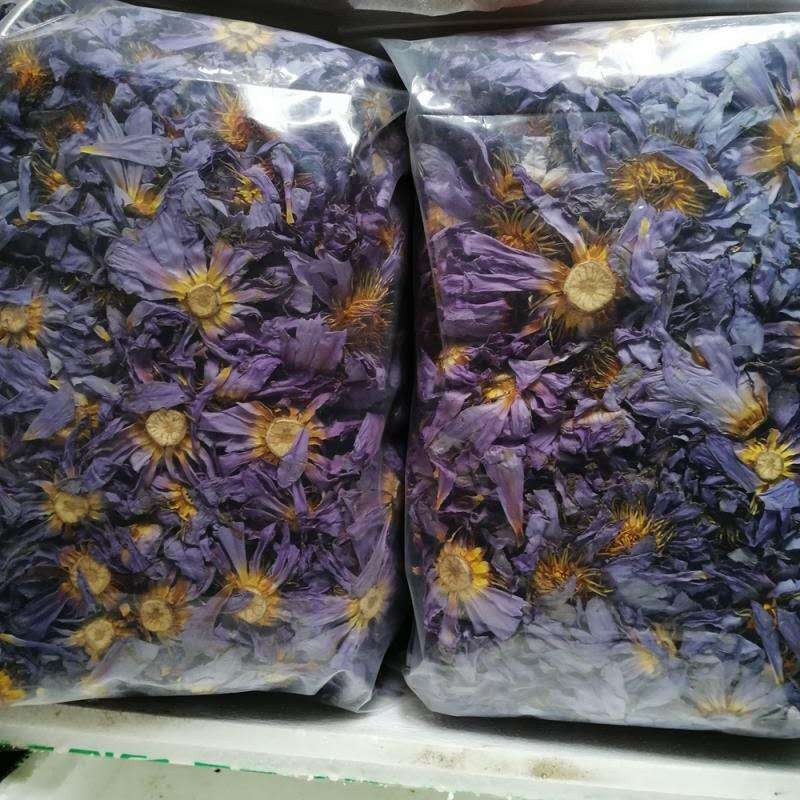 Blue Lotus Tea Supplier - Nymphaea Coerulea Flower