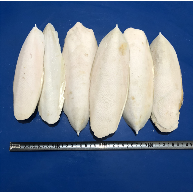 Cuttlefish Bone Supplier - Hai Piao Xiao Dried