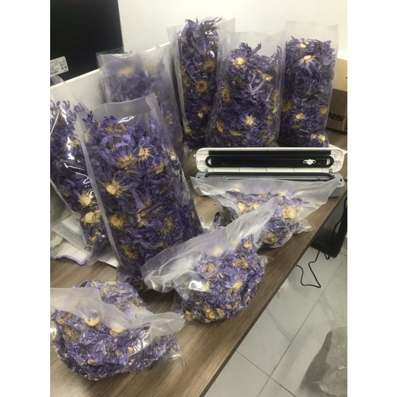 Blue Lotus Tea Supplier - Nymphaea Coerulea Flower