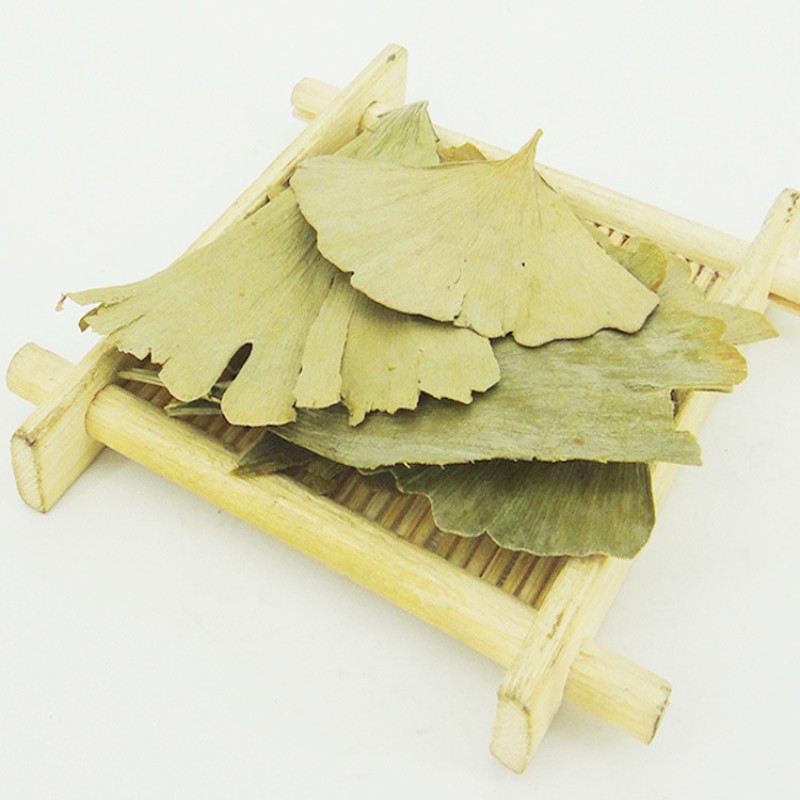 Ginkgo Leaf Tea Supplier - Biloba Loose Leaf