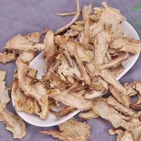 Dong Quai Root Supplier - Angelica Sinensis Herb
